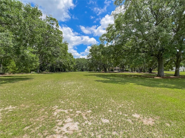 view of community featuring a yard and view of wooded area