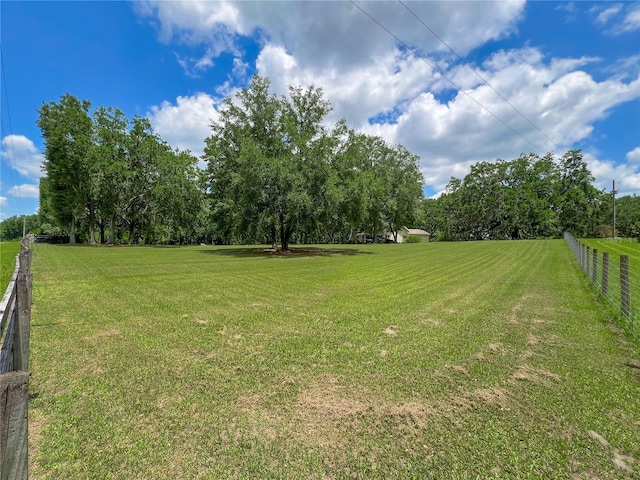 8115 NW 236th St, Alachua, FL 32615 - view of yard