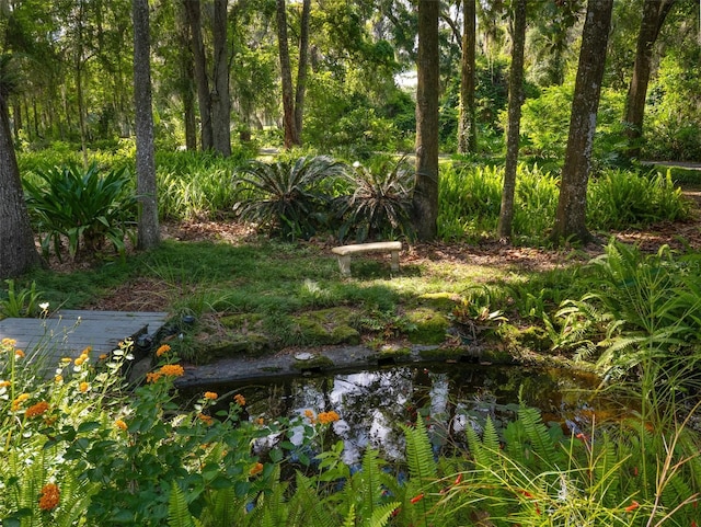 818 NW 202nd St, Newberry, FL 32669 - photo 34