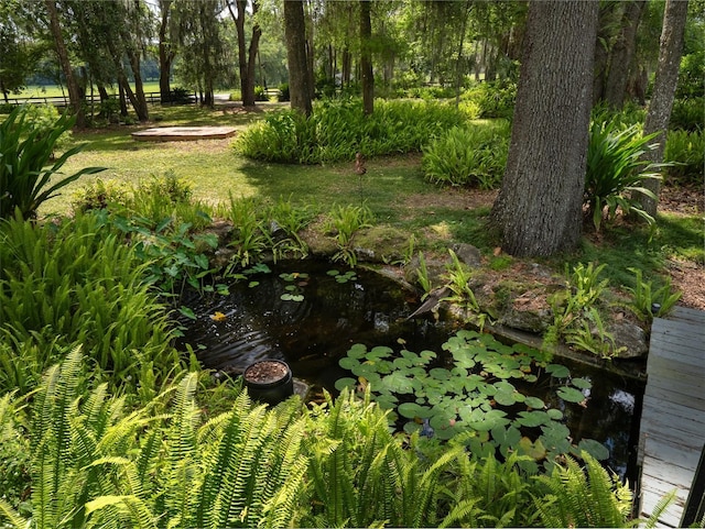 818 NW 202nd St, Newberry, FL 32669 - photo 43