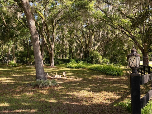 818 NW 202nd St, Newberry, FL 32669 - photo 47