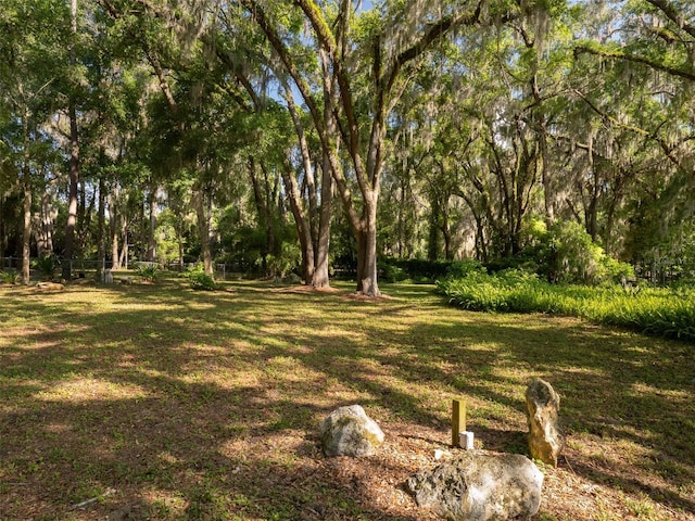 818 NW 202nd St, Newberry, FL 32669 - photo 48