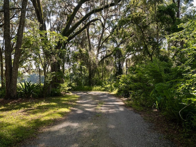 818 NW 202nd St, Newberry, FL 32669 - photo 53