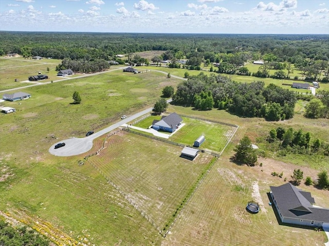 bird's eye view of a forest