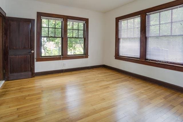 113 NW 11th St Unit 1/2, Gainesville, FL 32601 - spare room featuring baseboards and light wood-type flooring