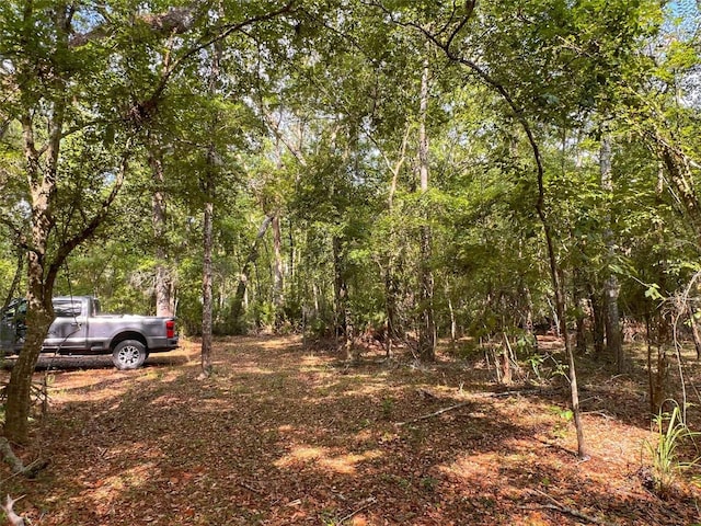 TBD NW 32nd Pl, Bell, FL 32619