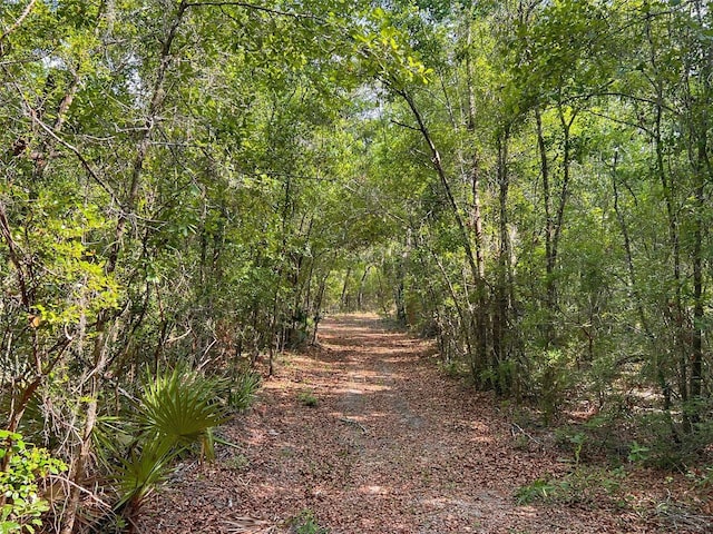 TBD NW 32nd Pl, Bell, FL 32619