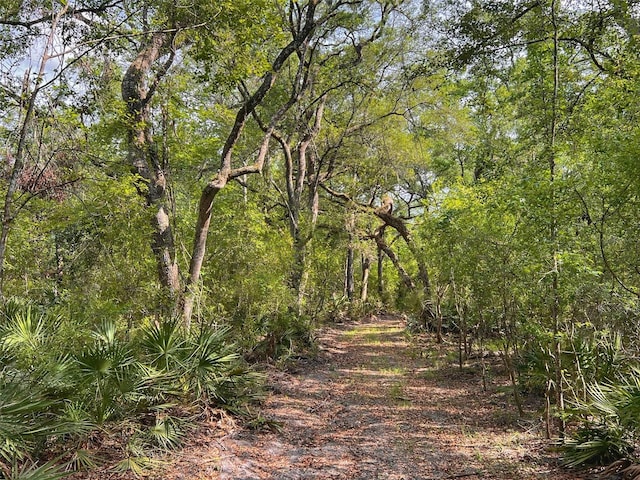 TBD NW 32nd Pl, Bell, FL 32619