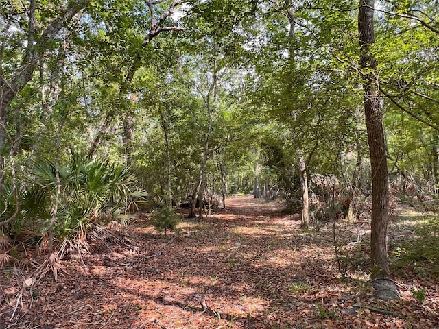 TBD NW 32nd Pl, Bell, FL 32619