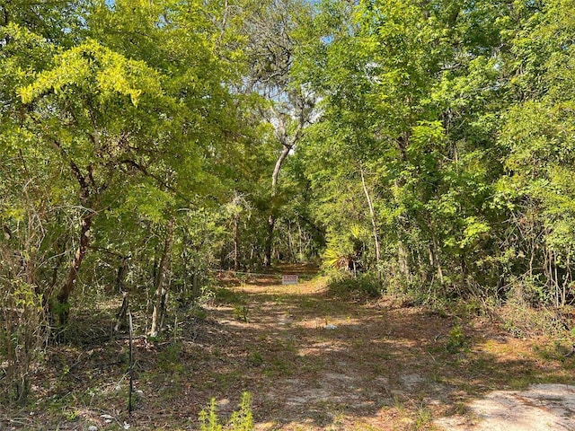 TBD NW 32nd Pl, Bell, FL 32619