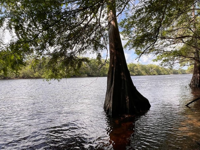 TBD NW 32nd Pl, Bell, FL 32619
