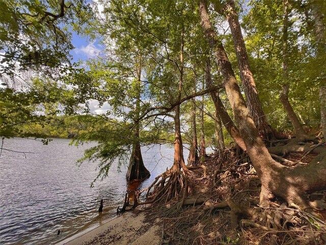 TBD NW 32nd Pl, Bell, FL 32619