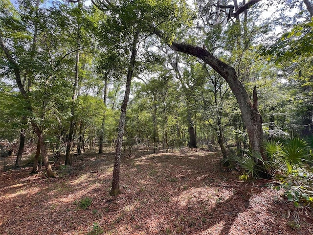 TBD NW 32nd Pl, Bell, FL 32619