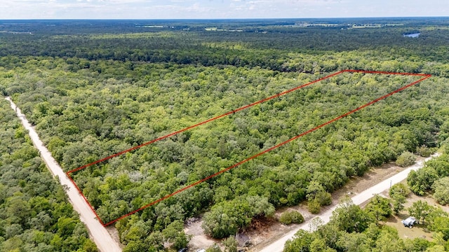 TBD NW 32nd Pl, Bell, FL 32619