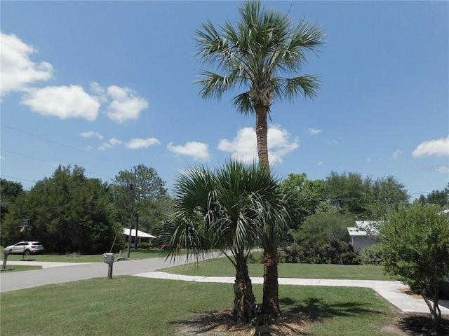 721 Town Ct Unit A & B, Bronson, FL 32621 - view of home's community featuring a lawn
