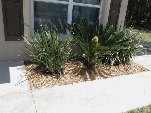 721 Town Ct Unit A & B, Bronson, FL 32621 - exterior view