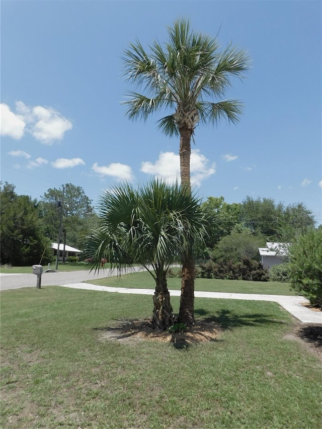 721 Town Ct Unit A & B, Bronson, FL 32621 - view of green lawn