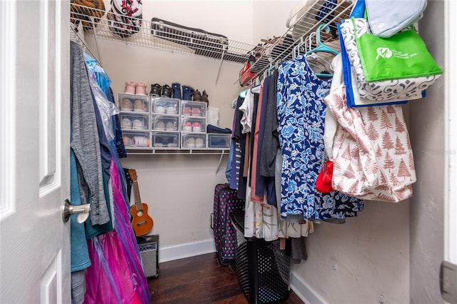 5802 SW 89th Ter, Gainesville, FL 32608 - spacious closet featuring wood finished floors