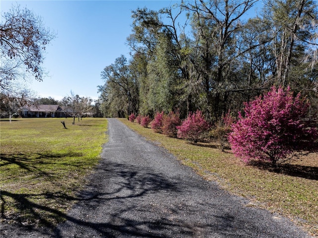 8968 122nd St, Live Oak, FL 32060 - view of street