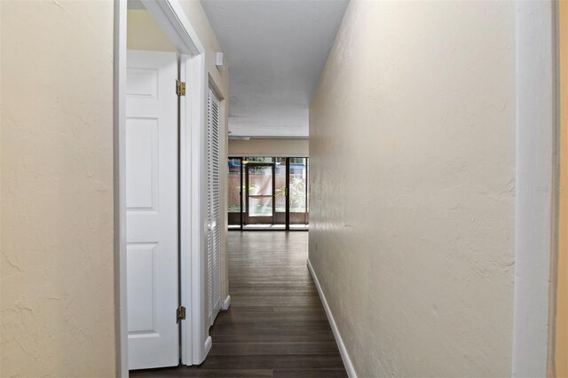 2635 SW 35th Pl Unit 301, Gainesville, FL 32608 - photo 8