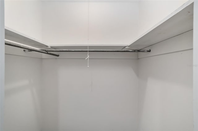 13207 SW Williston Rd, Micanopy, FL 32667 - view of spacious closet