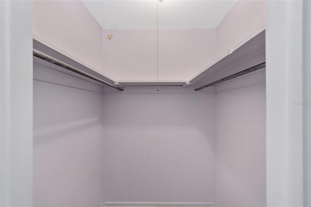 13207 SW Williston Rd, Micanopy, FL 32667 - view of walk in closet