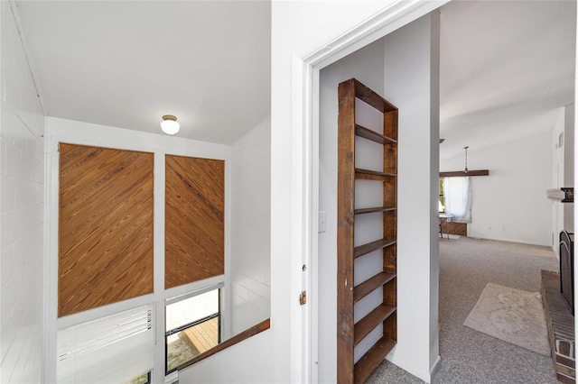 13207 SW Williston Rd, Micanopy, FL 32667 - hall with lofted ceiling and carpet flooring