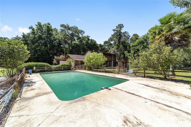 13207 SW Williston Rd, Micanopy, FL 32667 - view of pool featuring a patio and view of scattered trees