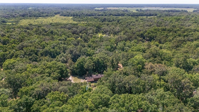 13207 SW Williston Rd, Micanopy, FL 32667 - bird's eye view of a heavily wooded area