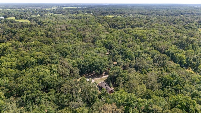 13207 SW Williston Rd, Micanopy, FL 32667 - bird's eye view of a heavily wooded area