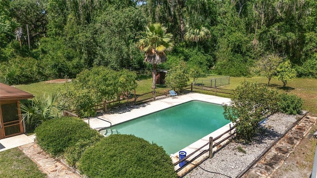13207 SW Williston Rd, Micanopy, FL 32667 - view of pool