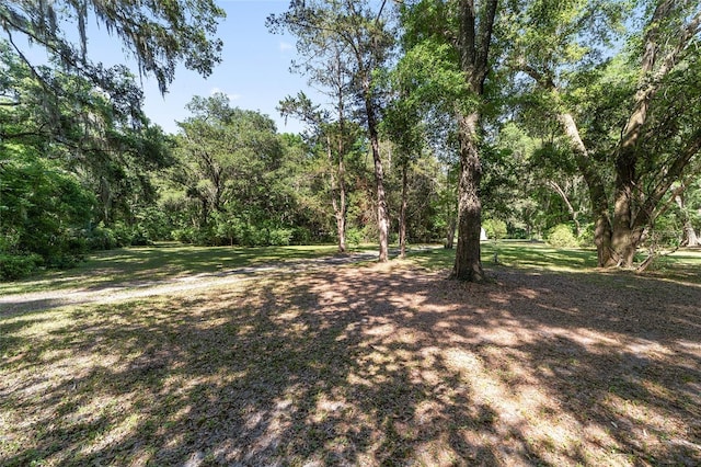 13207 SW Williston Rd, Micanopy, FL 32667 - view of yard featuring a wooded view
