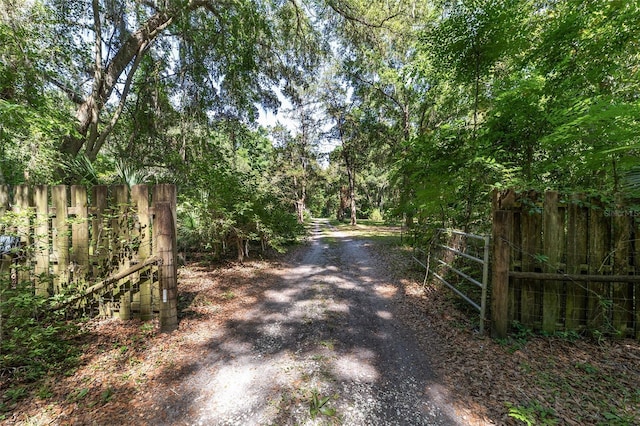 13207 SW Williston Rd, Micanopy, FL 32667 - view of street