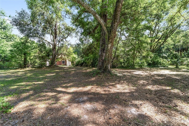 13207 SW Williston Rd, Micanopy, FL 32667 - view of yard with an outdoor structure