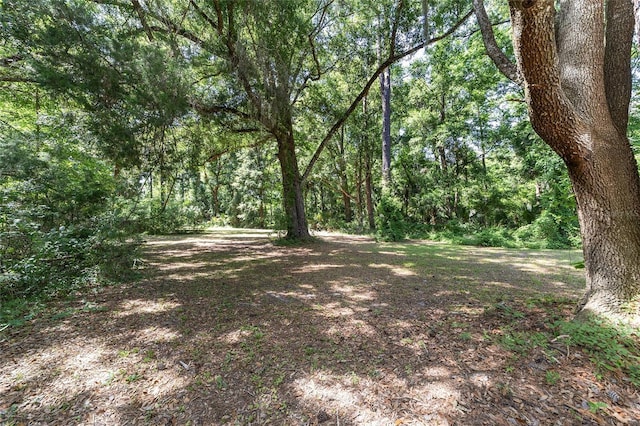 13207 SW Williston Rd, Micanopy, FL 32667 - view of wooded area