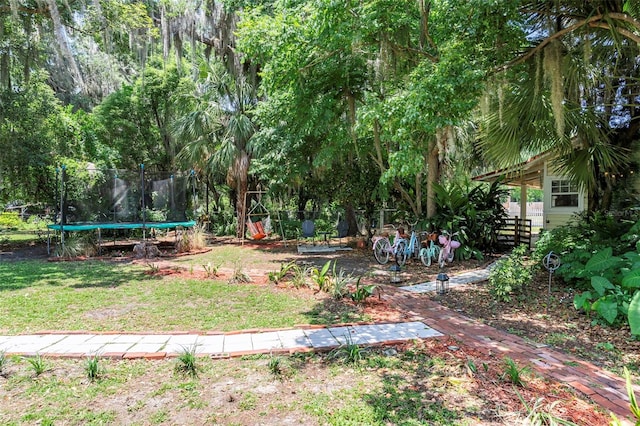 561 SE Lakeview Dr, Keystone Heights, FL 32656 - photo 2