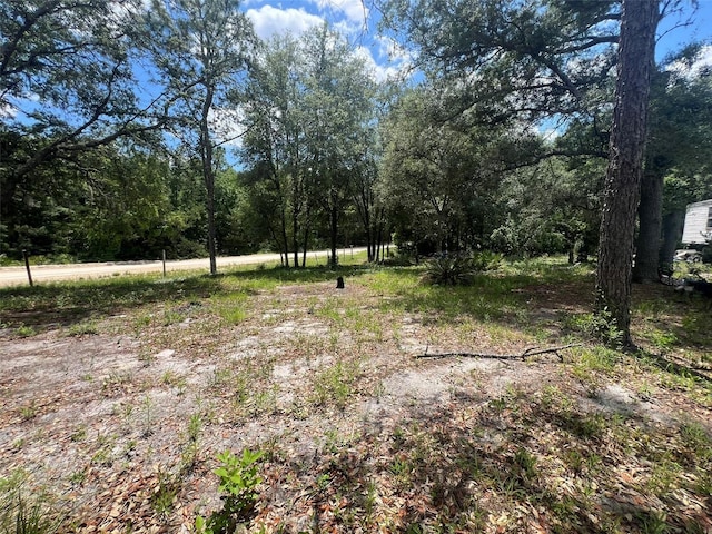 6029 NW 12th Ct, Bell, FL 32619