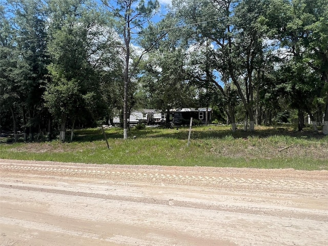 6029 NW 12th Ct, Bell, FL 32619