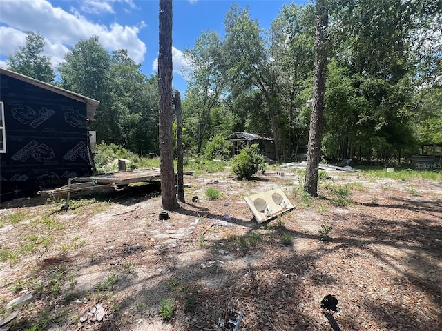 6029 NW 12th Ct, Bell, FL 32619