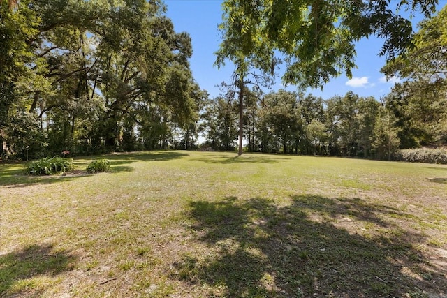 914 S Main St, Trenton, FL 32693 - view of grassy yard