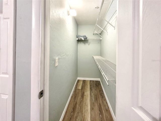 4000 SW 23rd St Unit 3-305, Gainesville, FL 32608 - walk in closet featuring dark wood finished floors