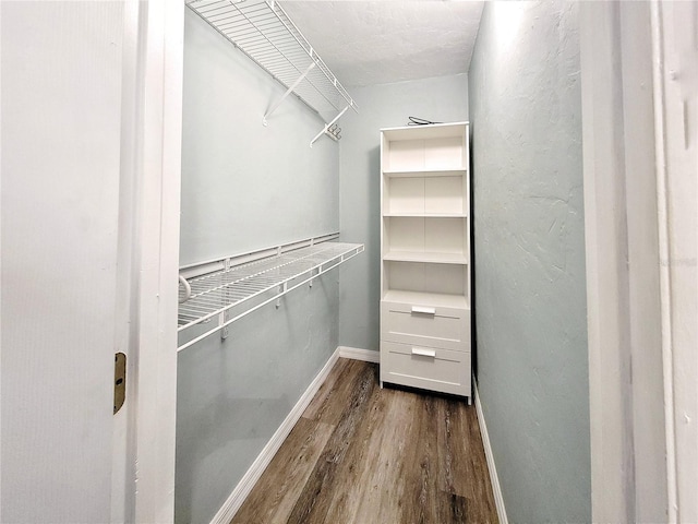 4000 SW 23rd St Unit 3-305, Gainesville, FL 32608 - walk in closet featuring dark wood finished floors