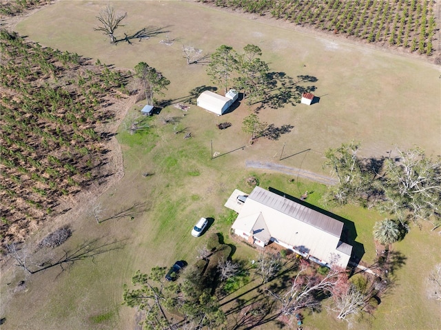 1058 NW County Road 290, Mayo, FL 32066 - overview of rural landscape
