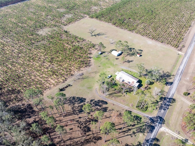 1058 NW County Road 290, Mayo, FL 32066 - aerial view of property's location featuring rural landscape and extensive farmland