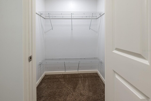 3046 SE 134th St, Starke, FL 32091 - spacious closet featuring carpet