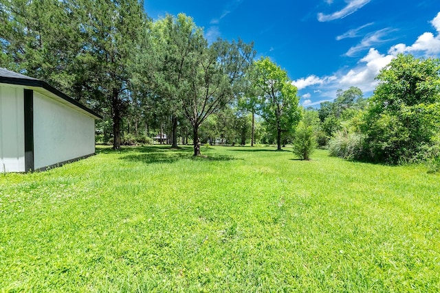 3046 SE 134th St, Starke, FL 32091 - view of green lawn featuring view of wooded area
