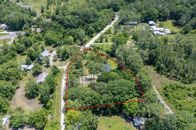 3046 SE 134th St, Starke, FL 32091 - aerial view of property and surrounding area with property parcel outlined and a forest