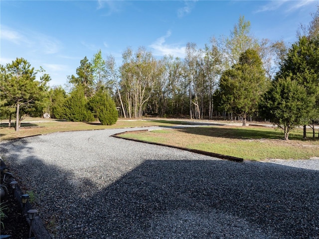11001 225th Rd, Live Oak, FL 32060 - surrounding community with a yard