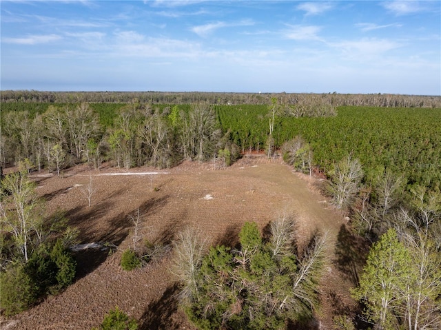11001 225th Rd, Live Oak, FL 32060 - aerial view