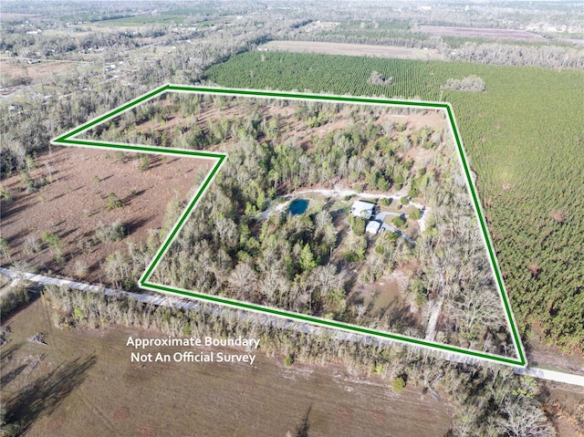 11001 225th Rd, Live Oak, FL 32060 - overview of rural landscape with property boundaries highlighted